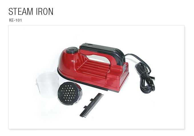 STEAM IRON